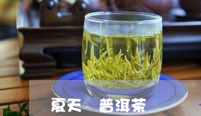 夏天 普洱茶/2023042907018